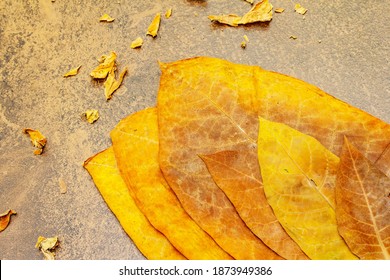 Rough dry tobacco leaves. High quality big leaf ready to be made cigarettes. Stone concrete background, top view