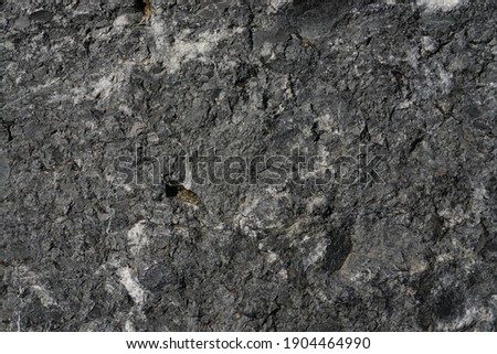 Rough gray stone wall texture with natural crack used for background.