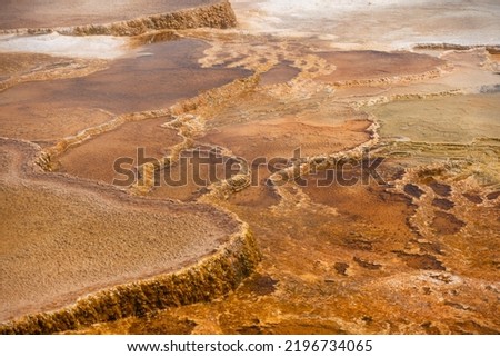 Rough grunge Yellowstone Mound Spring geyser hot spring texture, looking like alien planet terrain