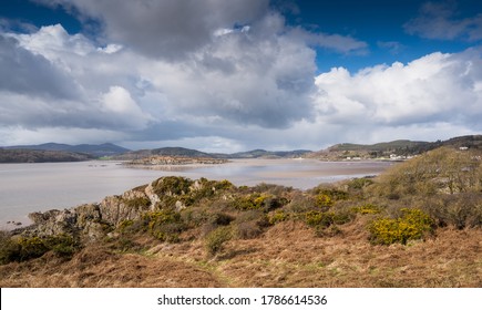 Rough Island In The Solway Firth