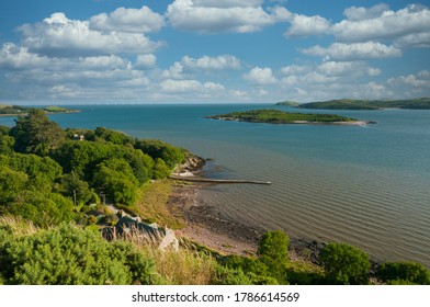 Rough Island In The Solway Firth 