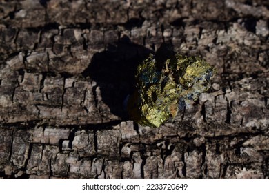 Rough mineral chalcopyrite on crannied wooden background, a closeup of mineral stone, macro shot of shinny yellow blue stone, geology, mineralogy.Little rock on day light. - Shutterstock ID 2233720649