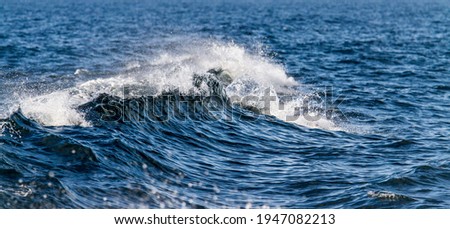 Rough Ocean Waves with Whitecaps