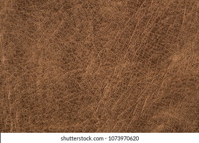 Rough Old Brown Leather Background.