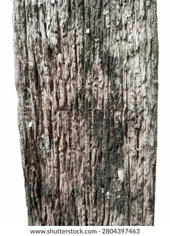 rough old wood panel surface white background