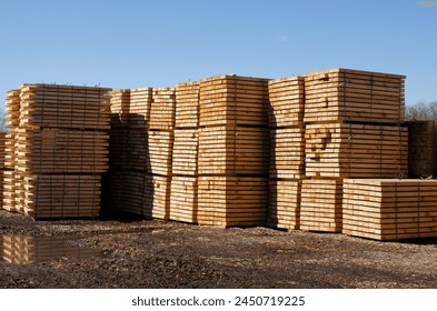 Rough pine lumber stacked at the sawmill. Pine timber. Woodworking plant and sawn timber in stacks for shipment for export. Wooden boards, lumber, commercial timber.