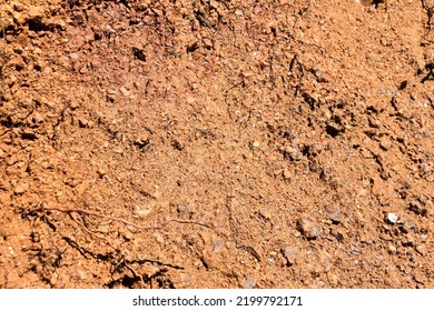 Rough Shimmering Red Dirt Background