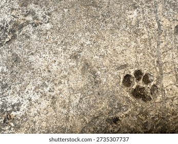 Rough stone surface with natural texture and a visible animal paw print on the right side. Earthy tones and weathered details create an organic background suitable for nature concepts, wildlife themes, outdoor textures, animal presence, tracking, and abstract natural backgrounds with copy space