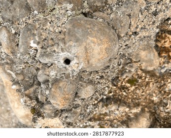 Rough Stone Surface Texture with Hole and Spider Web Detail
Macro close up of rough stone surface with pebbles, hole and spider web. Natural weathered material texture background for design and abstract projects.

