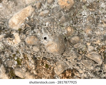 Rough Stone Surface Texture with Hole and Spider Web Detail
Macro close up of rough stone surface with pebbles, hole and spider web. Natural weathered material texture background for design and abstract projects.

