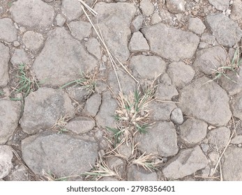 Rough surface of macadam road