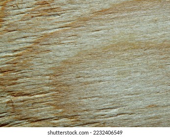 rough surface texture of light sawn wood close up. background for designer, artist, screensaver, desktop, wallpaper - Shutterstock ID 2232406549
