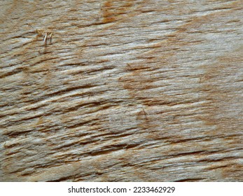 rough surface texture of light sawn wood close up. background for designer, artist, screensaver, desktop, wallpaper - Shutterstock ID 2233462929