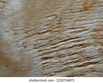 rough surface texture of light sawn wood close up. background for designer, artist, screensaver, desktop, wallpaper - Shutterstock ID 2233724873
