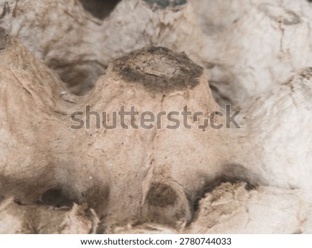 rough texture of the chicken egg storage board