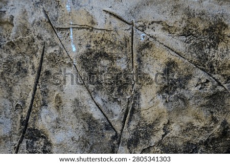 The rough texture and details of the sixth wall.