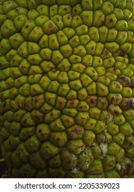 Rough Texture Of Jackfruit Skin