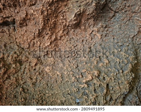 rough texture on the surface of sedimentary rocks