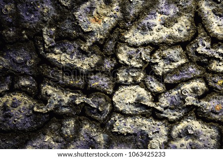 Similar – Foto Bild Gerissene Bodentextur. Harte Schatten und Sonne. Getrockneter Boden.