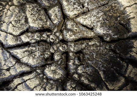 Similar – Foto Bild Gerissene Bodentextur. Harte Schatten und Sonne. Getrockneter Boden.