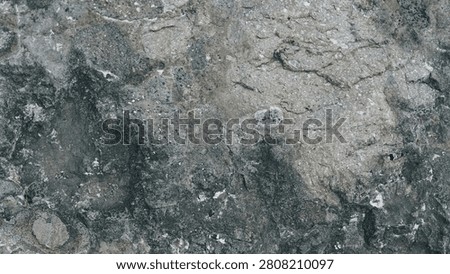 Rough, textured gray rock surface with complex mineral patterns and crags
