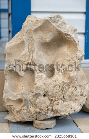 Rough textured limestone boulder with deep natural cavities porous surface. Neutral beige gray tones under even daylight. Placed on tiled ground with blue white vertical panels behind