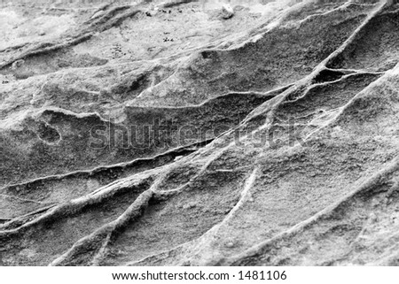 The rough textured surface of a rock (focus slightly shallow front to back).