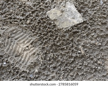 Rough volcanic sand texture with a partial footprint and debris on the ground