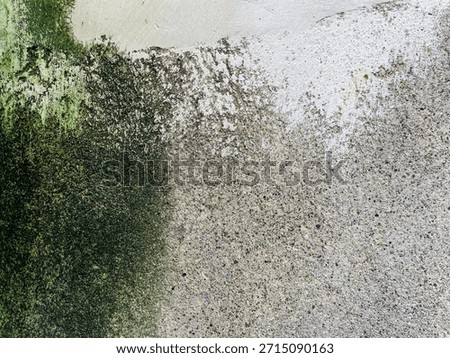 Rough wall surface featuring a mix of textures and colors. The top section displays cracked white paint, while the bottom exhibits areas of green algae (Chlorophyta) growth and darkened concrete. The surface has a gritty, uneven appearance with visible cracks and roughness. The varied textures and colors suggest age and weathering, with natural elements contributing to the overall worn and patchy look.