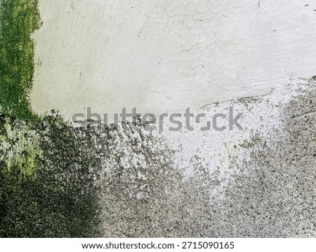 Rough wall surface featuring a mix of textures and colors. The top section displays cracked white paint, while the bottom exhibits areas of green algae (Chlorophyta) growth and darkened concrete. The surface has a gritty, uneven appearance with visible cracks and roughness. The varied textures and colors suggest age and weathering, with natural elements contributing to the overall worn and patchy look.