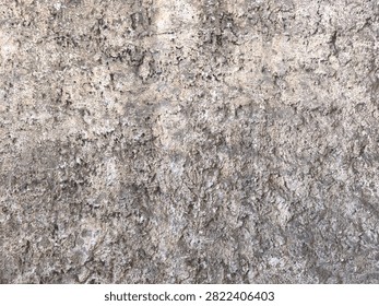 Rough weathered stone texture with pockmarked surface and grey earthy tones.
