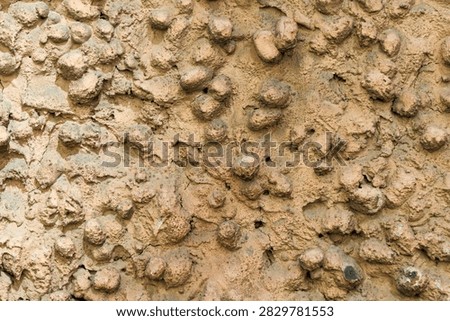 Rough, wet mud with small, rounded lumps and cracks. Color shifts from tan to dark brown. Surface shows natural erosion and texture. Ideal for nature, geology, or construction themes