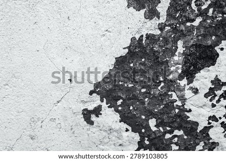 Rough white plaster surface with peeling dark layers and cracks.