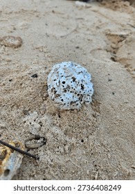 A rough white porous object with multiple holes and dark specks rests on fine sand, highlighting natural texture and geological interest in coastal or environmental observation