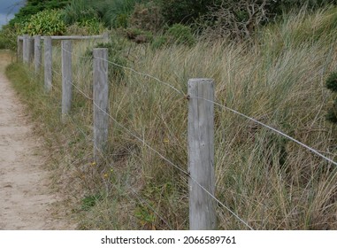 473 Coarse vegetation Images, Stock Photos & Vectors | Shutterstock