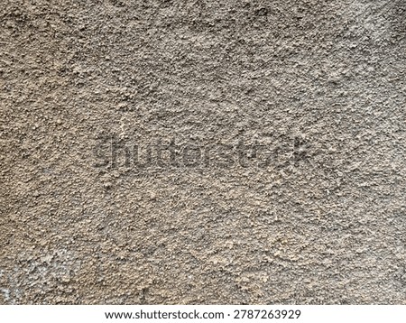 Roughcast architectural surface featuring fine aggregates and an organic, weathered appearance