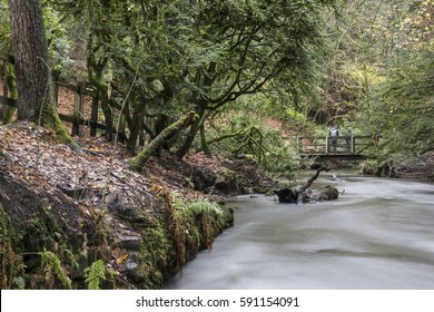 Rouken Glen. Park. Glen Walk