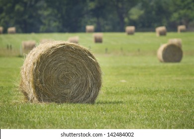 Round Bail Of Hay In A Field.