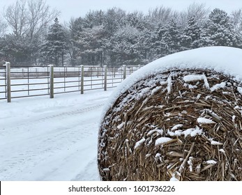 Round Bale In A Snowstorm