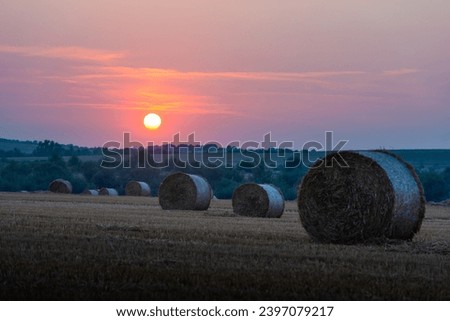 Round bales of dry hay on an agricultural field during sunset. Rural landscape with straw rolls and dramatic sunrise sky