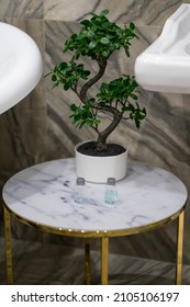 Round Bathroom Vanity In White