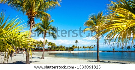 The Round Beach at Matheson Hammock County Park Miami Florida