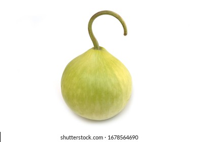 Round Bottle Gourd (Ghiya Gol) Isolated On White.