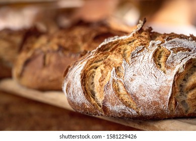 Round bread close-up. Freshly baked sourdough bread with a golden crust on bakery shelves. Baker shop context with delicious bread. Pastry items. - Shutterstock ID 1581229426