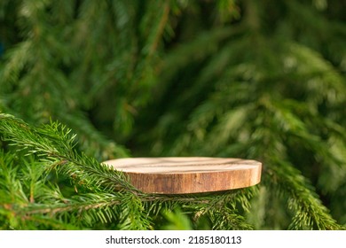 A round carved slab of wood lies on the branches of spruce, pine, a stand for an object, a podium for cosmetics. Beautiful bokeh of juicy greenery. High quality photo. 