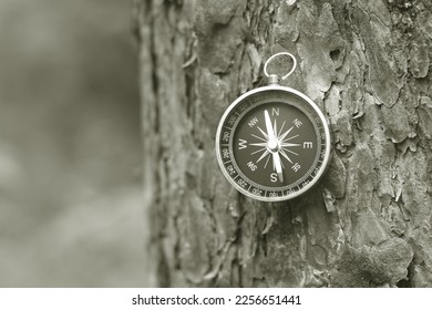 round compass on natural background as symbol of tourism with compass and travel with compass and outdoor activities with compass - Shutterstock ID 2256651441