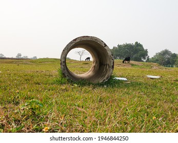 A Round Concrete Abandoned Slap On The Grass Field.