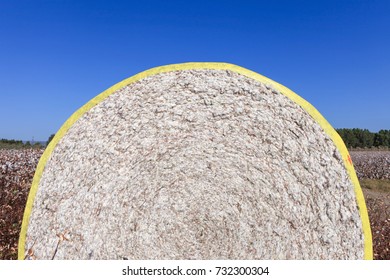 Round Cotton Bale In A Field