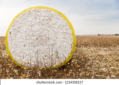 Round Cotton Bale In A Field In Greece