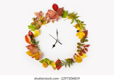 round dial made of autumn yellow, green, red leaves, on a white background, isolate